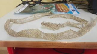 pelle serpente