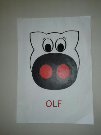 Olf - l'olfatto