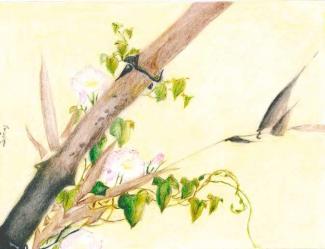 Hokusai - S. Da Ros, C. Luiza
