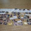 cartellone con fotografie classi prime