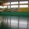 palestra