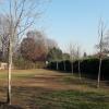 giardino retro